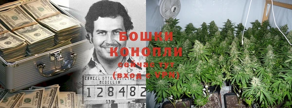 мдпв Волосово