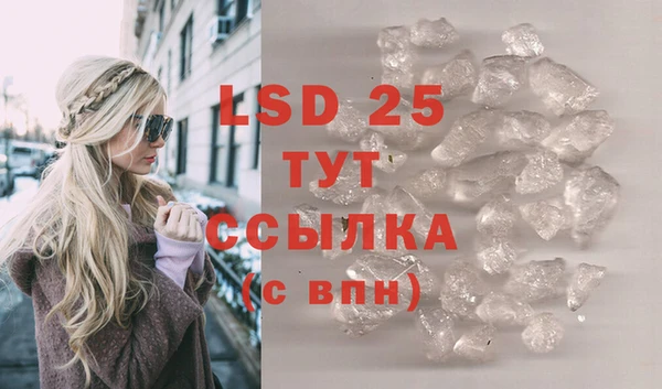 индика Нязепетровск