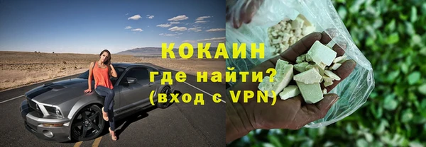 индика Нязепетровск