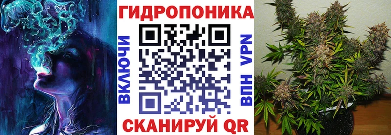 Бошки Шишки планчик  даркнет Telegram  Дорогобуж  хочу  